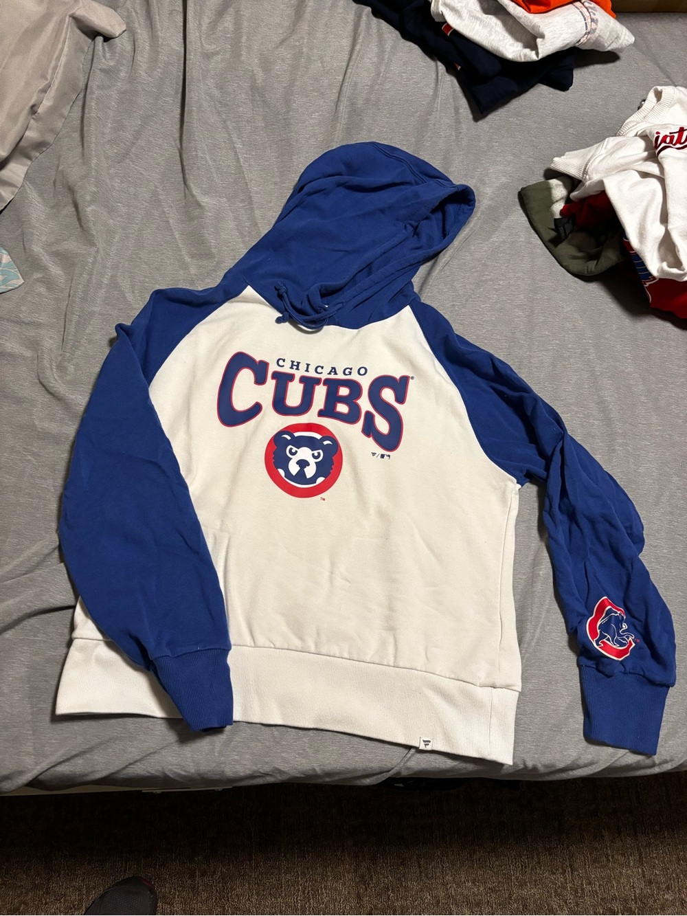 Chicago cubs hoodie